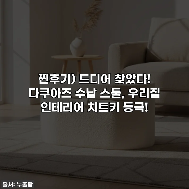 찐후기) 드디어 찾았다! 다쿠아즈 수납 스툴, 우리집 인테리어 치트키 등극!