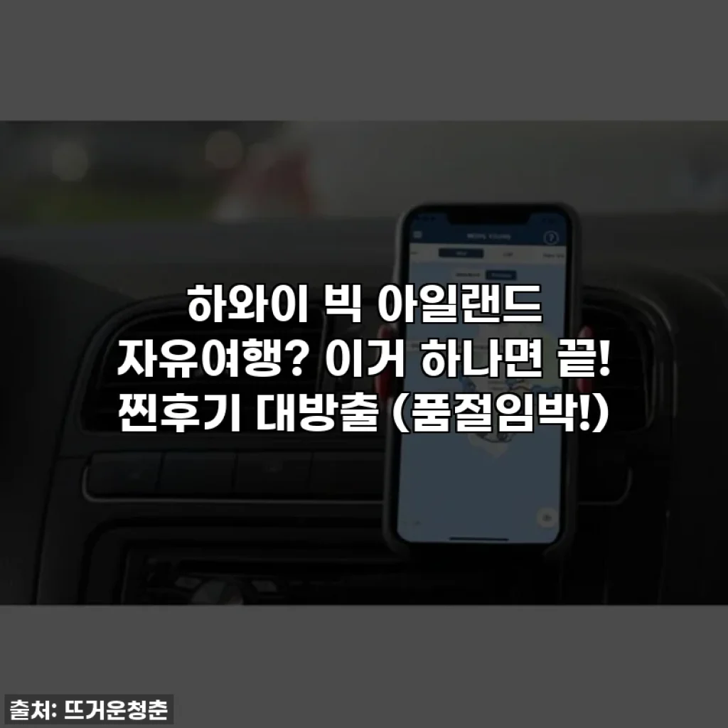 하와이 빅 아일랜드 자유여행? 이거 하나면 끝! 찐후기 대방출 (품절임박!)