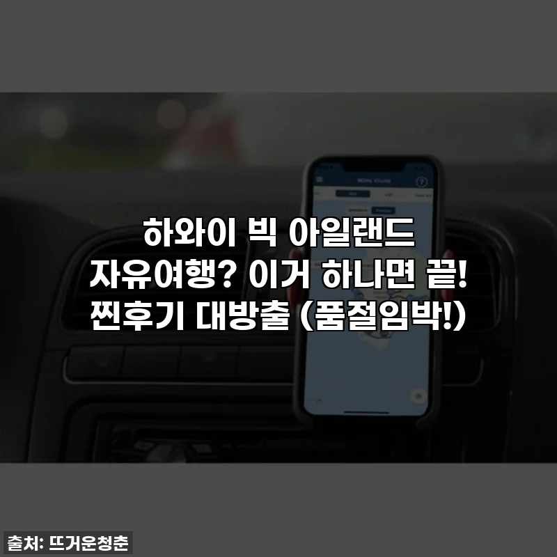 하와이 빅 아일랜드 자유여행? 이거 하나면 끝! 찐후기 대방출 (품절임박!)