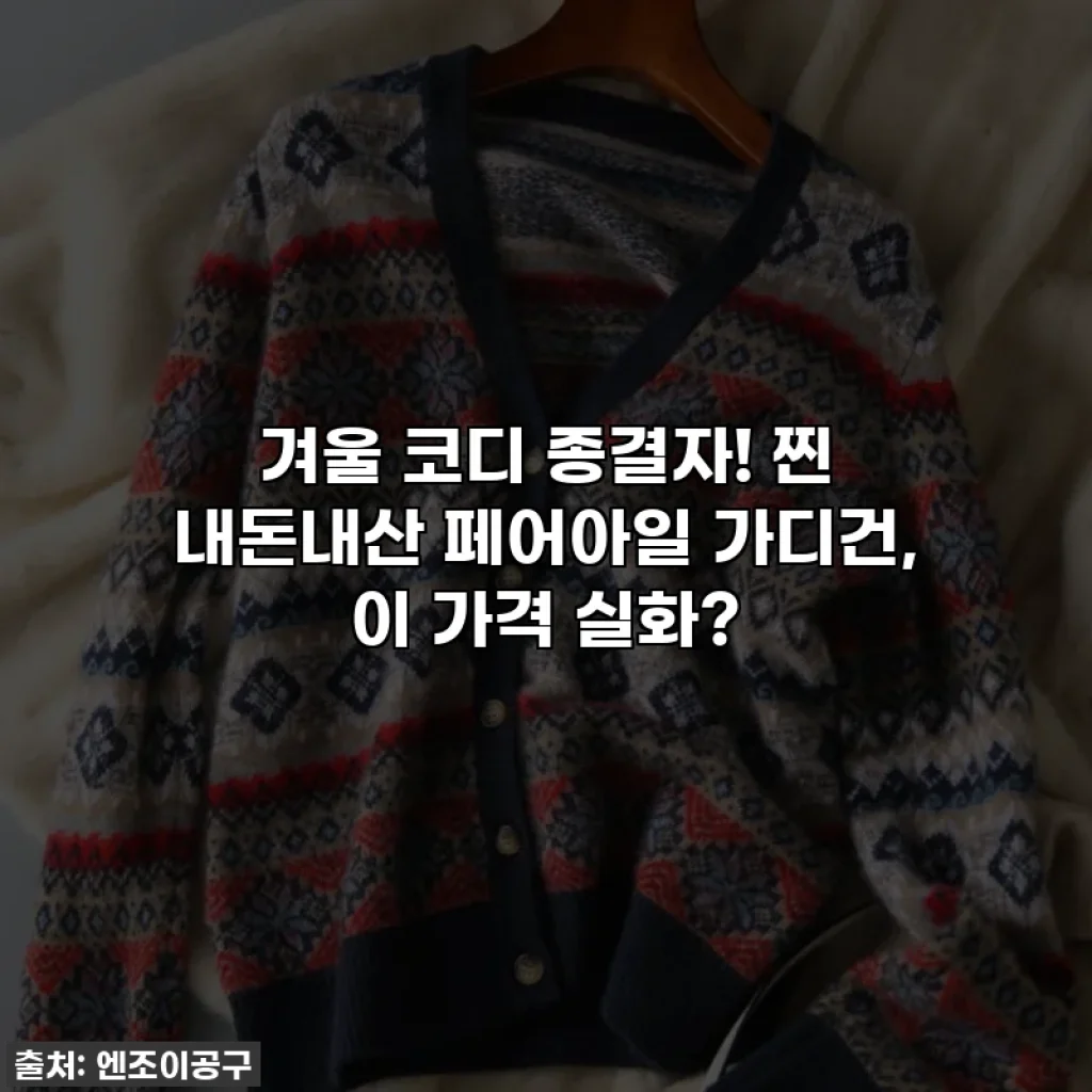 겨울 코디 종결자! 찐 내돈내산 페어아일 가디건, 이 가격 실화?