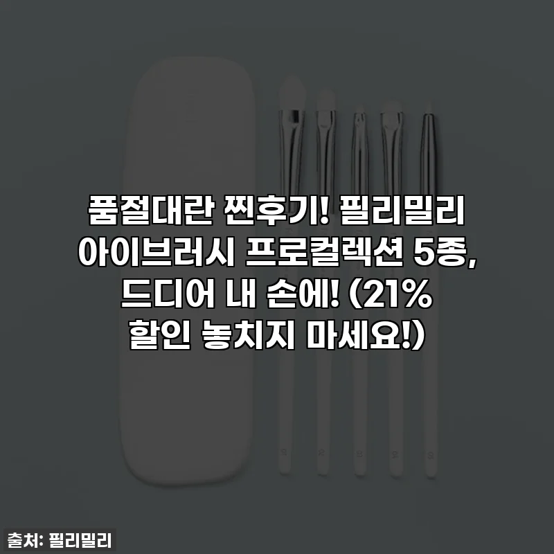 품절대란 찐후기! 필리밀리 아이브러시 프로컬렉션 5종, 드디어 내 손에! 👀 (21% 할인 놓치지 마세요!)