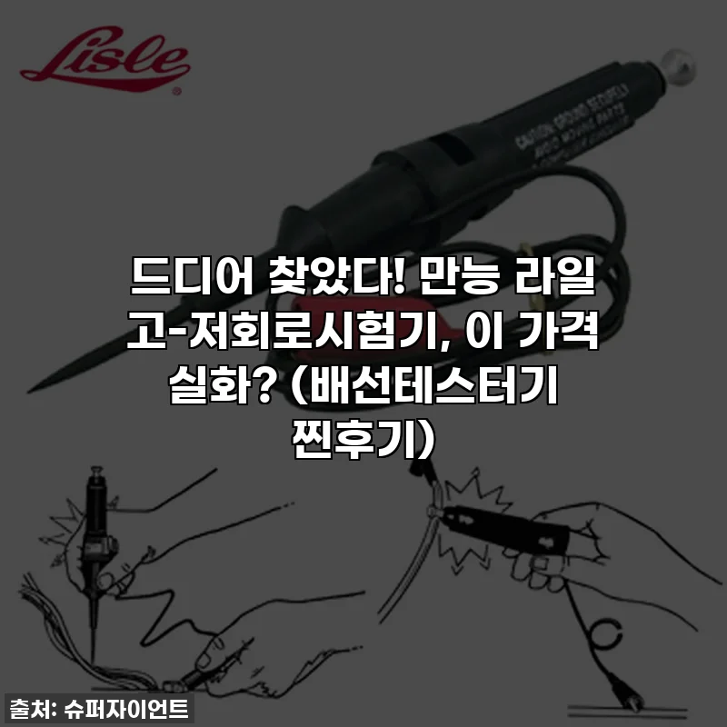 드디어 찾았다! 만능 라일 고-저회로시험기, 이 가격 실화? (배선테스터기 찐후기)