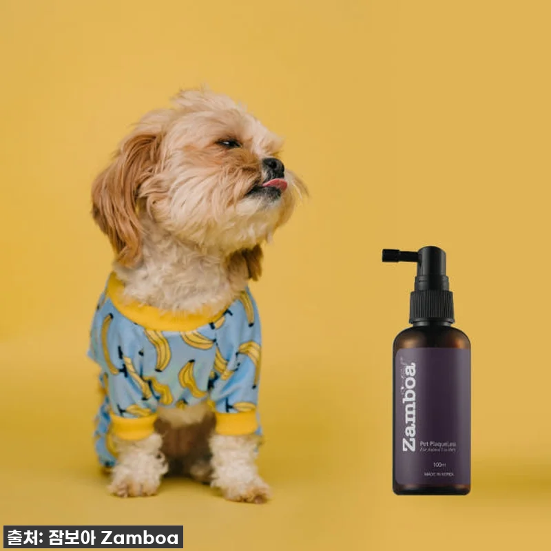 이슈템! 품절임박! 댕댕이 입냄새+치 관련 이미지 1