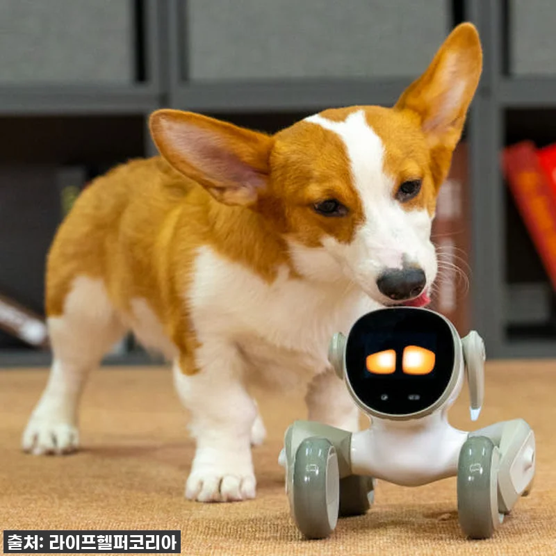 우리 집 효자템 등극! '루나 로봇 관련 이미지 1