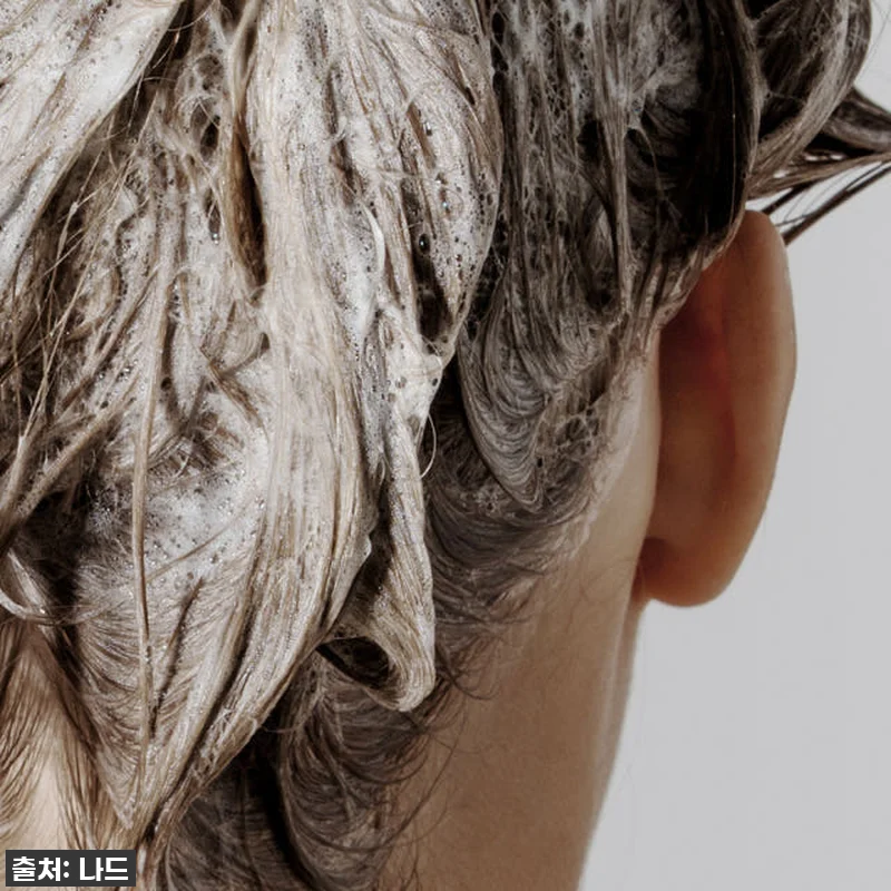 나드 대용량 샴푸 1,000ml 시그 관련 이미지 3