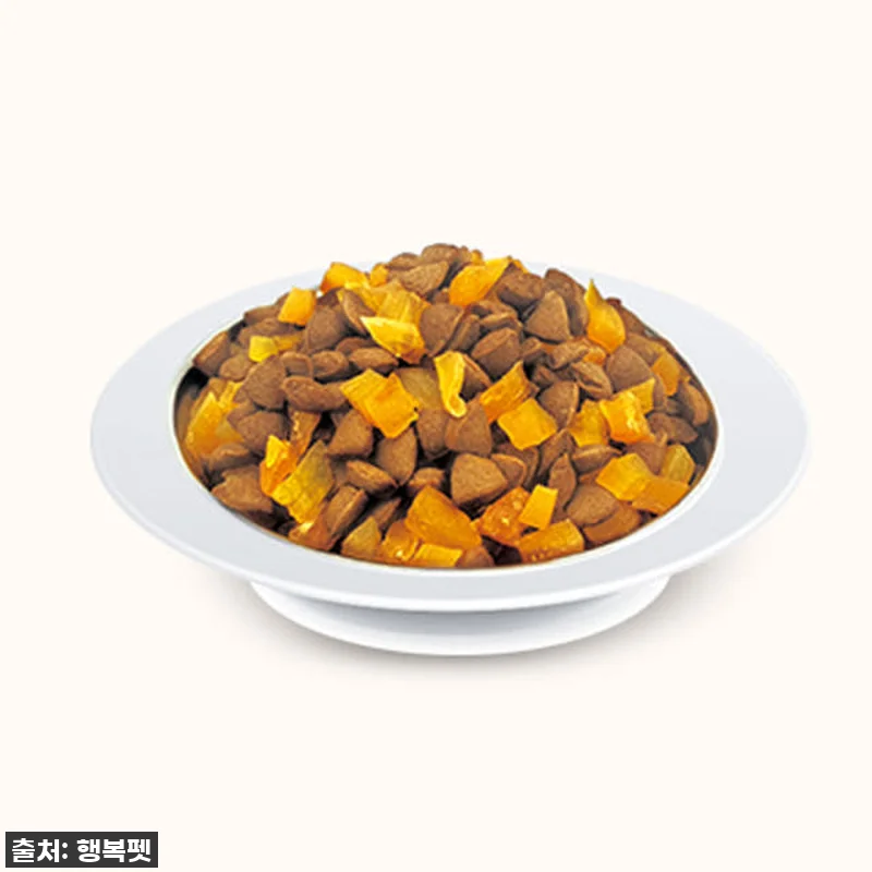 ⭐품절대란템⭐ 우리 집 댕댕이 입맛 관련 이미지 4