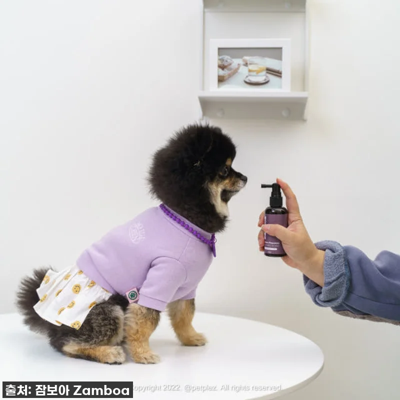 이슈템! 품절임박! 댕댕이 입냄새+치 관련 이미지 4