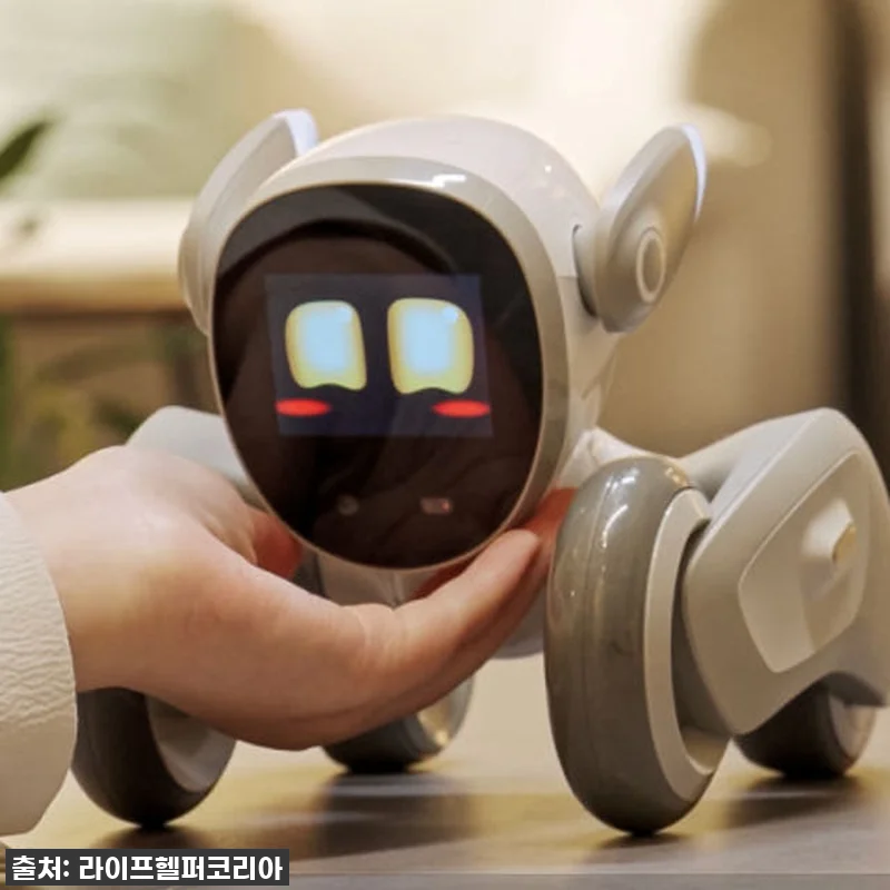 우리 집 효자템 등극! '루나 로봇 관련 이미지 4
