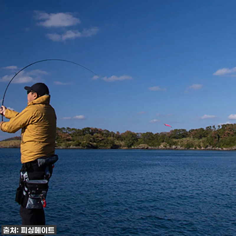 이 가격 실화?! 다이와 에메랄다스 관련 이미지 4