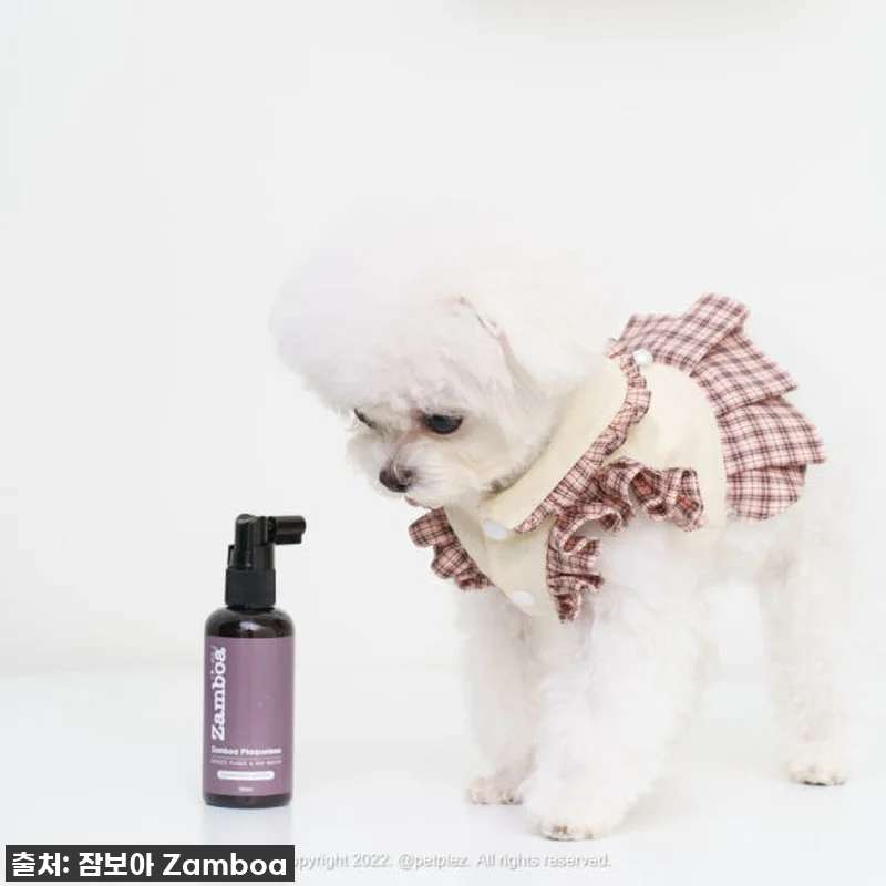 이슈템! 품절임박! 댕댕이 입냄새+치 관련 이미지 5