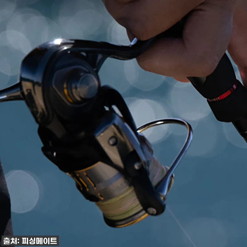 이 가격 실화?! 다이와 에메랄다스 관련 이미지 5