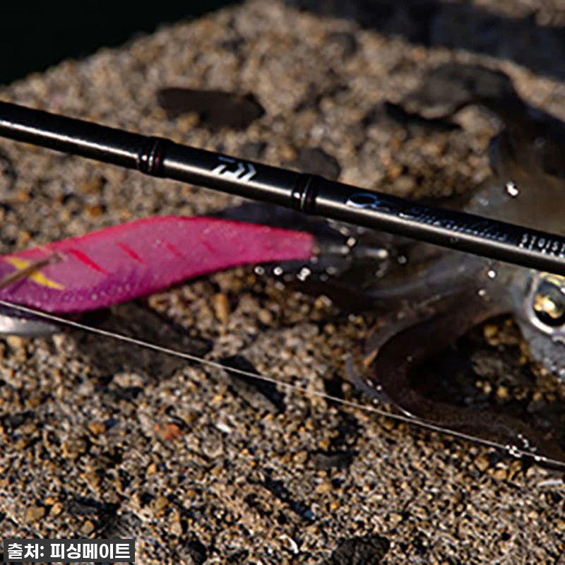 이 가격 실화?! 다이와 에메랄다스 관련 이미지 6