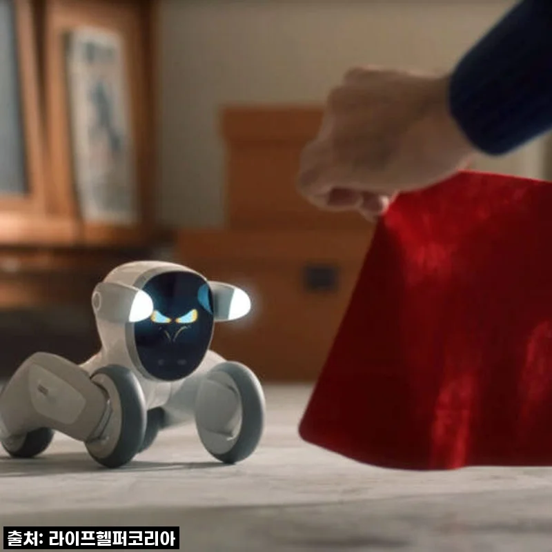 우리 집 효자템 등극! '루나 로봇 강아지' CHAT GPT2, 이젠 없으면 안 될 가족의 막내둥이 솔직 후기