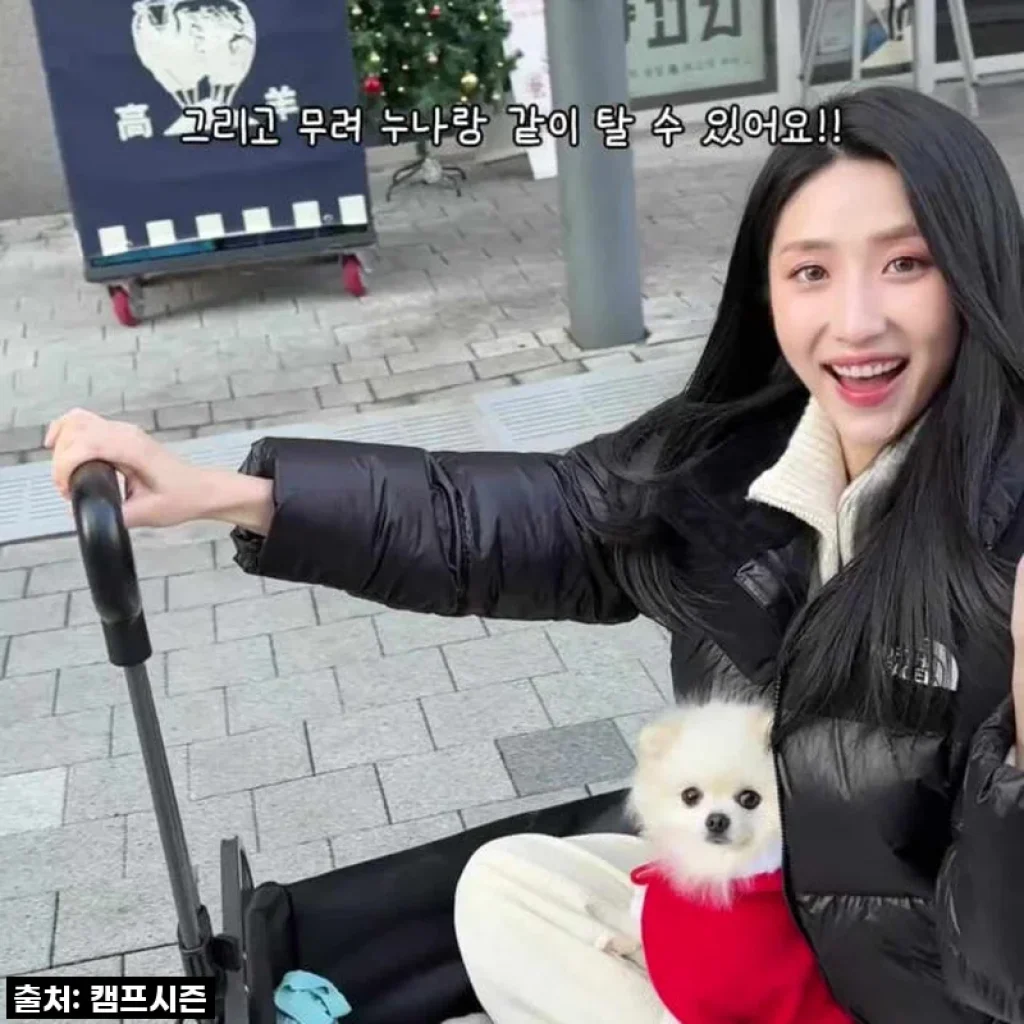 캠핑 짐 옮기기, 이제 힘들이지 마세요! 캠프시즌 전동 웨건으로 인싸 등극! ✨