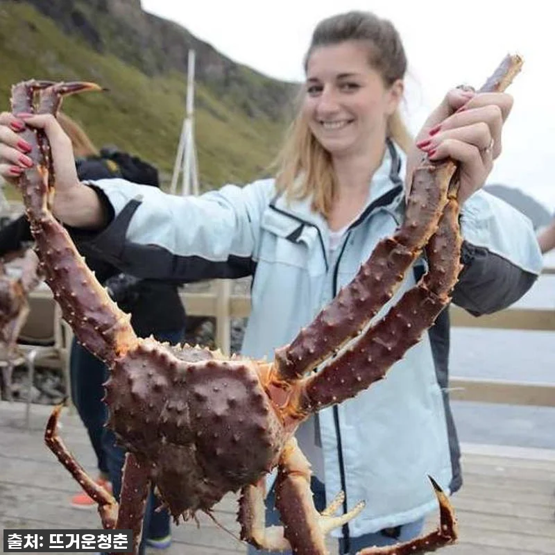 꿈만 같던 핀란드 겨울왕국, 로바니에 관련 이미지 1