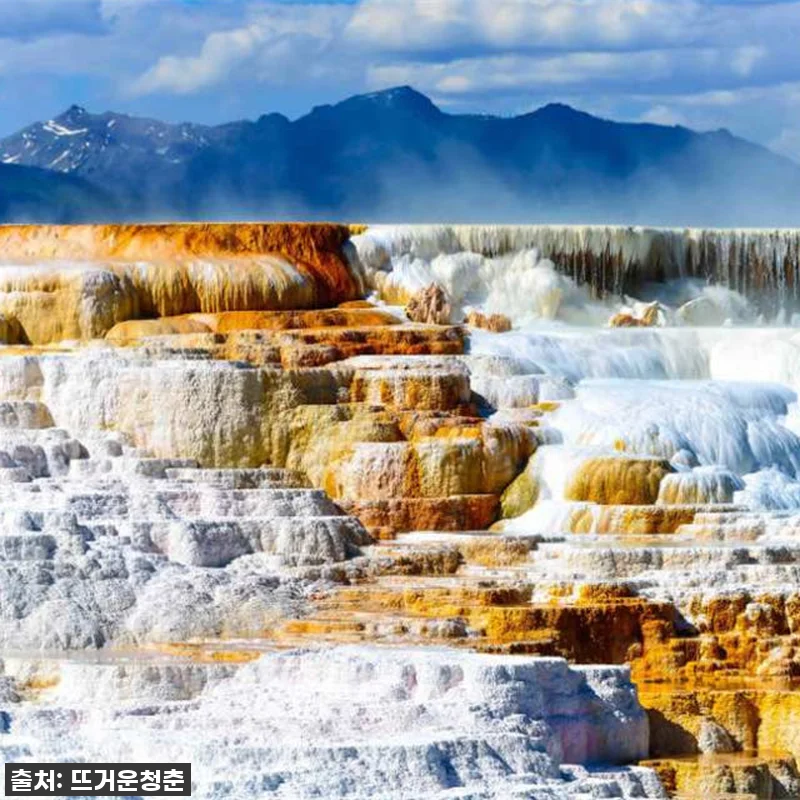 꿈만 같던 미국 옐로스톤 & 그랜드 관련 이미지 1