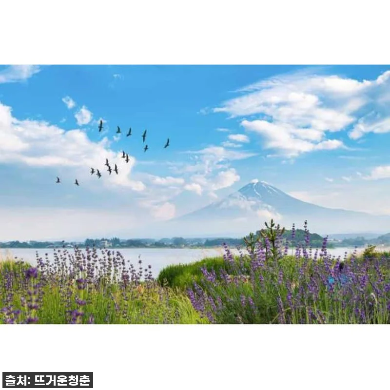 도쿄에서 후지산 프라이빗 1일 투어, 관련 이미지 1