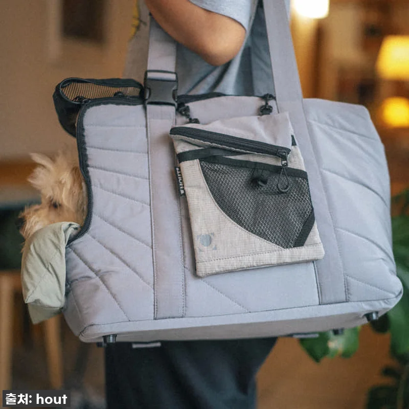 우리 초코의 최애템 등극! 하웃 에어 관련 이미지 1