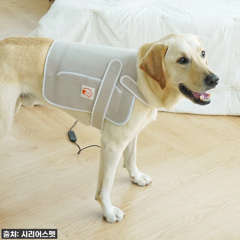 따뜻한 온기로 우리 댕냥이 관절 지켜 관련 이미지 1