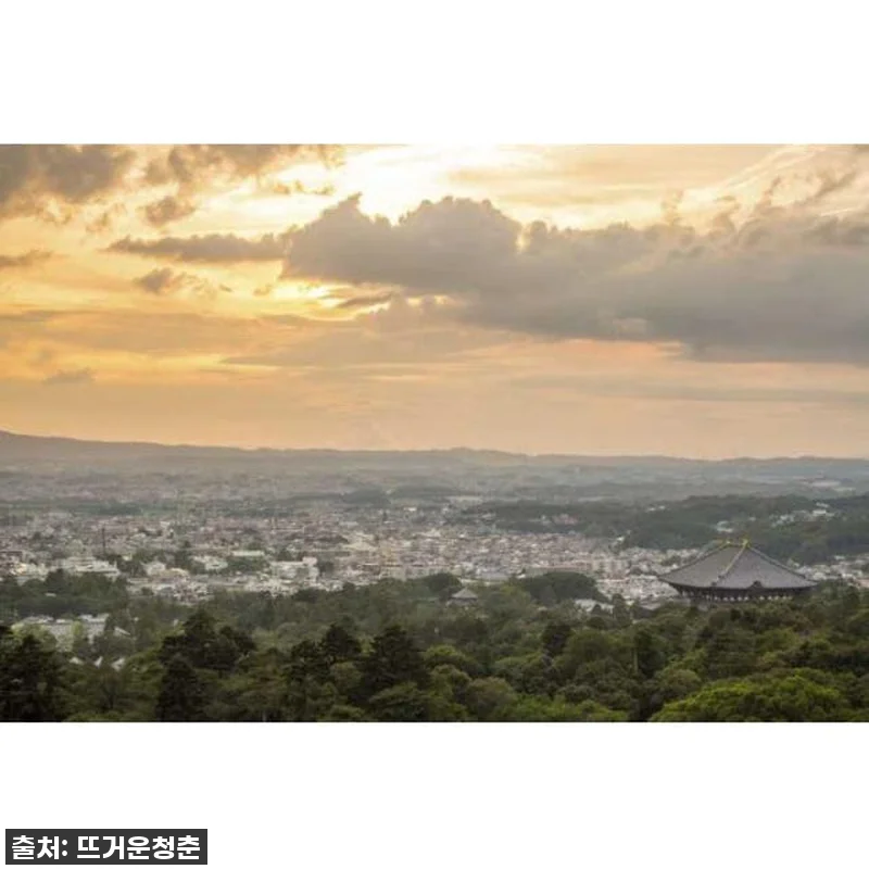 일본 현지인처럼 나라 맞춤형 가이드 관련 이미지 1