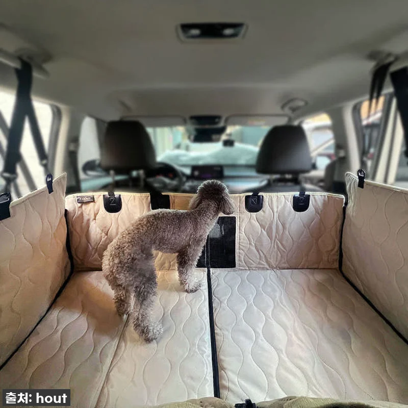 우리 강아지 여행 필수템! 하웃 강아 관련 이미지 1