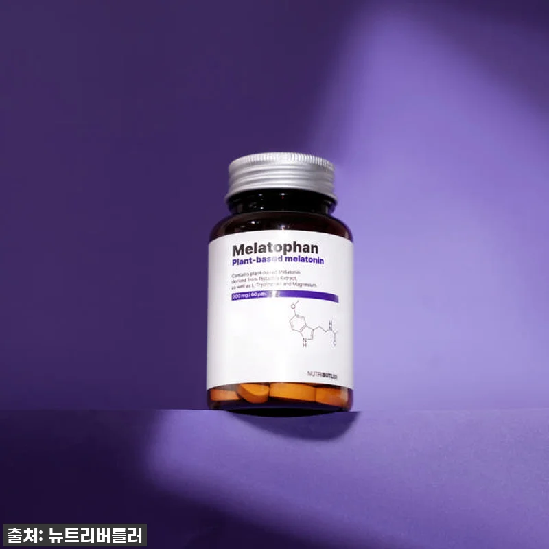 꿀잠을 위한 저의 비밀! 멜라토판 식 관련 이미지 1