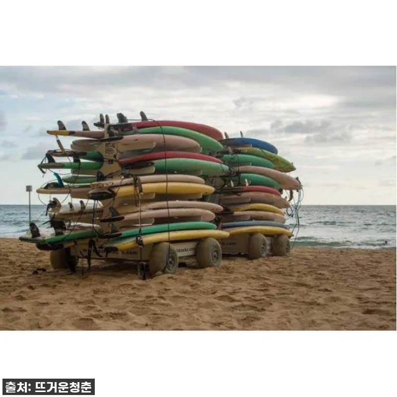 잊지 못할 시드니 여행, 현지인과 함 관련 이미지 1