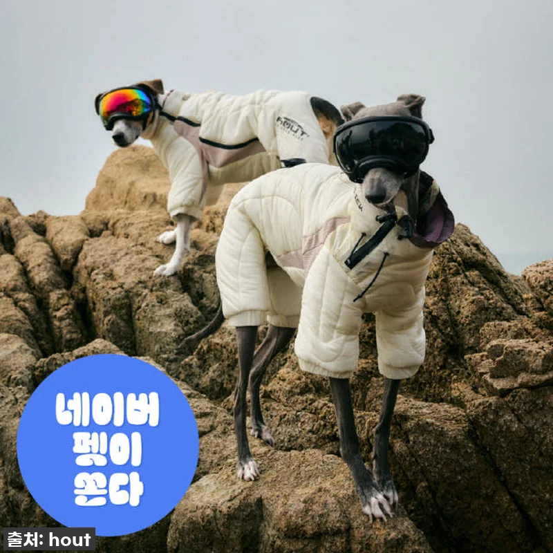 하웃 강아지 패딩 올인원 애견 겨울 관련 이미지 1