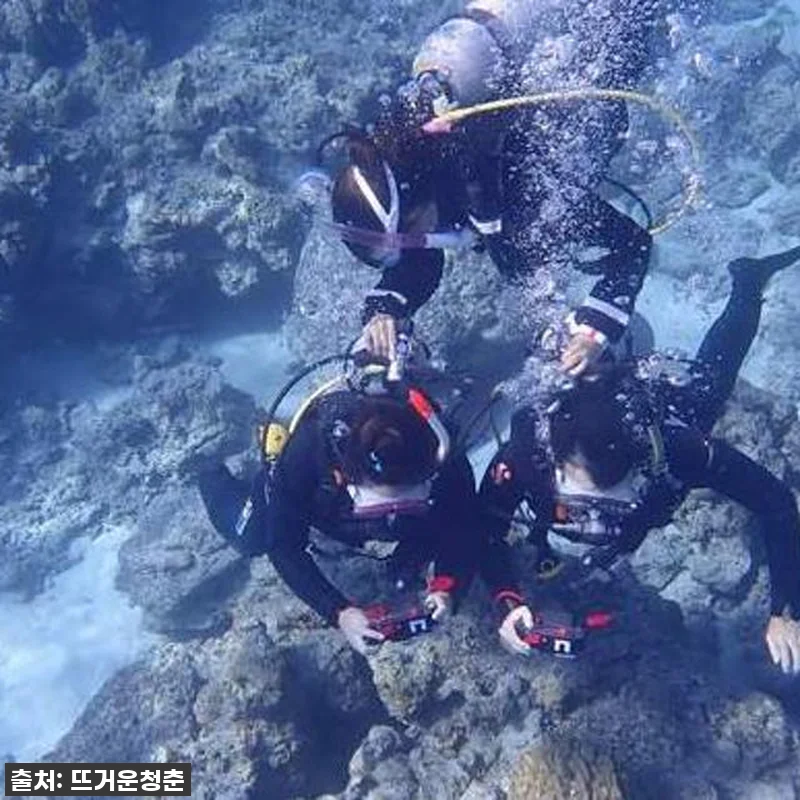 오키나와 케라마 제도 체험 다이빙, 관련 이미지 1