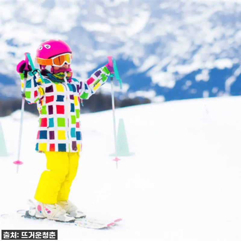 호주 멜버른 마운트 블러 스키 2박 관련 이미지 1