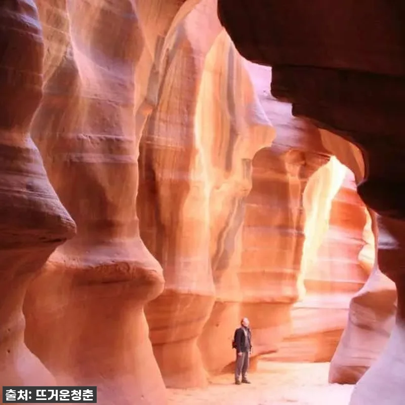 라스베이거스 출발! 숨 막히는 감동의 관련 이미지 2