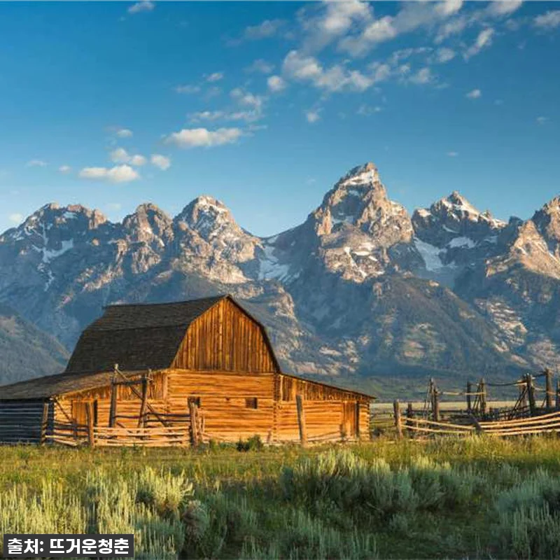 꿈만 같던 미국 옐로스톤 & 그랜드 관련 이미지 2