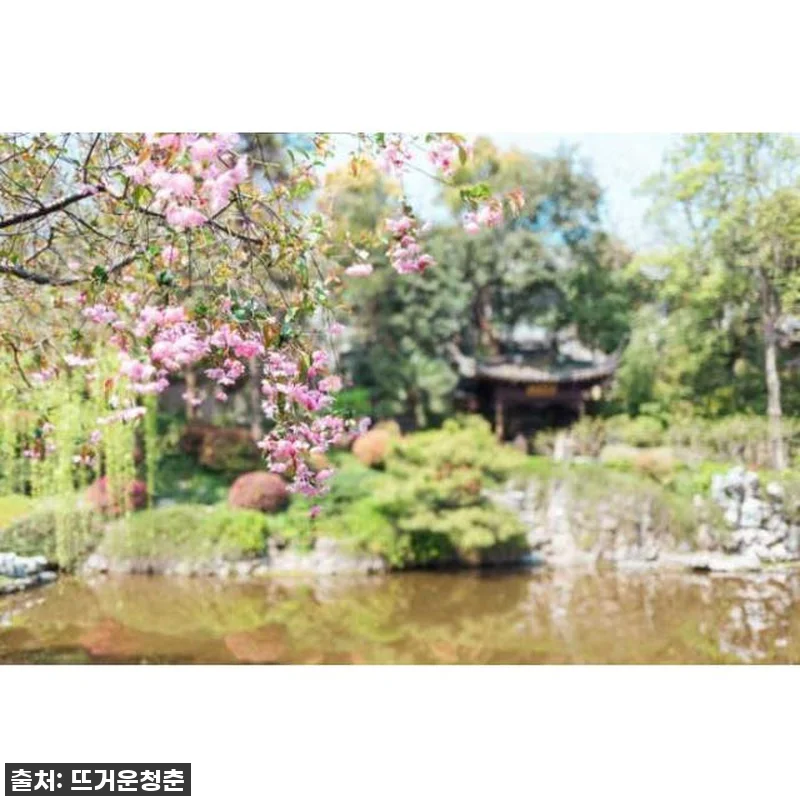 숨 막히는 절경에 압도당한 중국 쑤저 관련 이미지 2