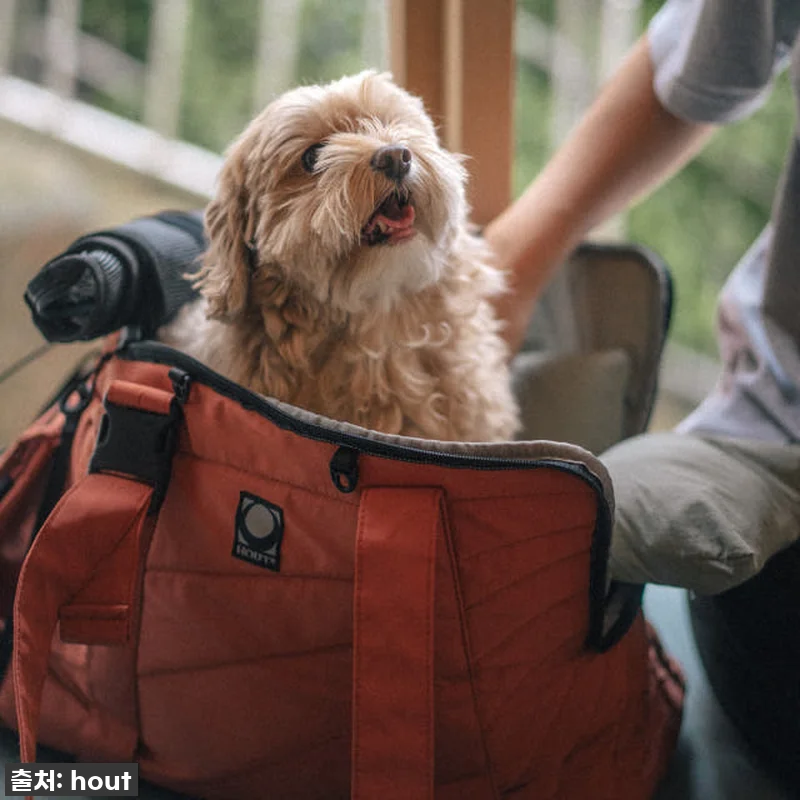 우리 초코의 최애템 등극! 하웃 에어 관련 이미지 2