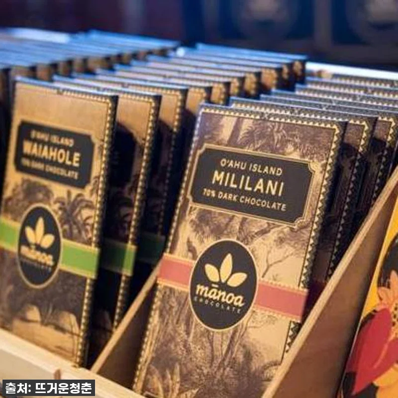 미국 하와이 호놀룰루 프라이빗 현지 관련 이미지 2