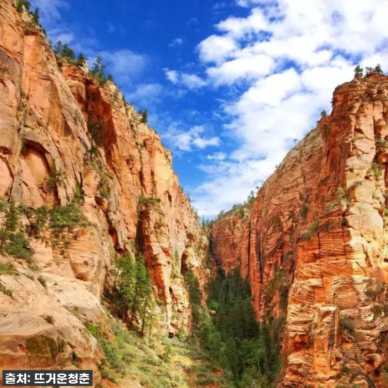 라스베이거스 출발! 숨 막히는 감동의 관련 이미지 3