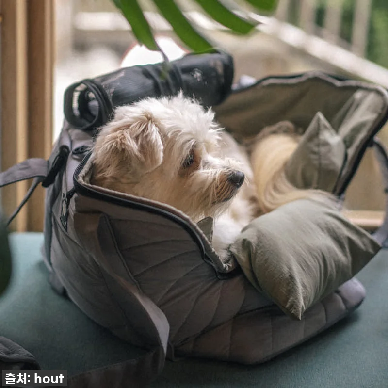 우리 초코의 최애템 등극! 하웃 에어 관련 이미지 3