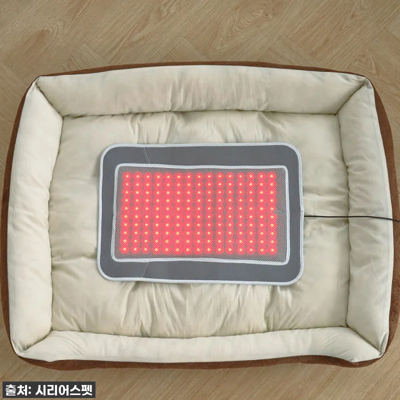 따뜻한 온기로 우리 댕냥이 관절 지켜 관련 이미지 3