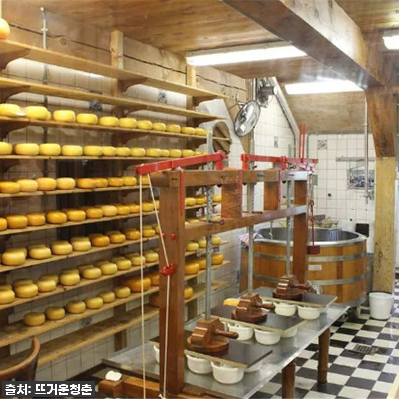 동화 속으로 떠나는 네덜란드 프라이빗 관련 이미지 3