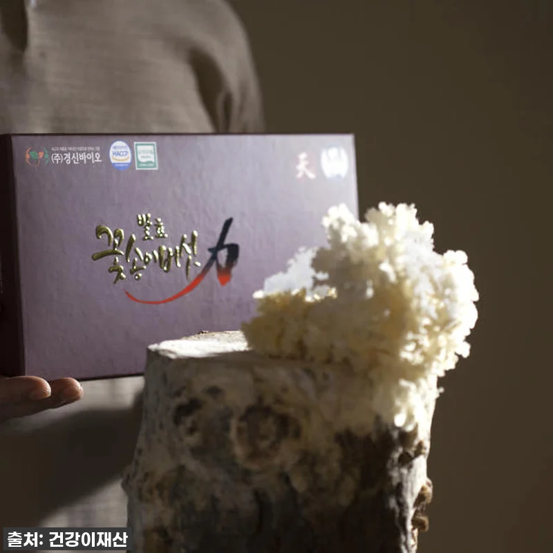 환절기 건강은 물론 활력까지? 경신바 관련 이미지 3