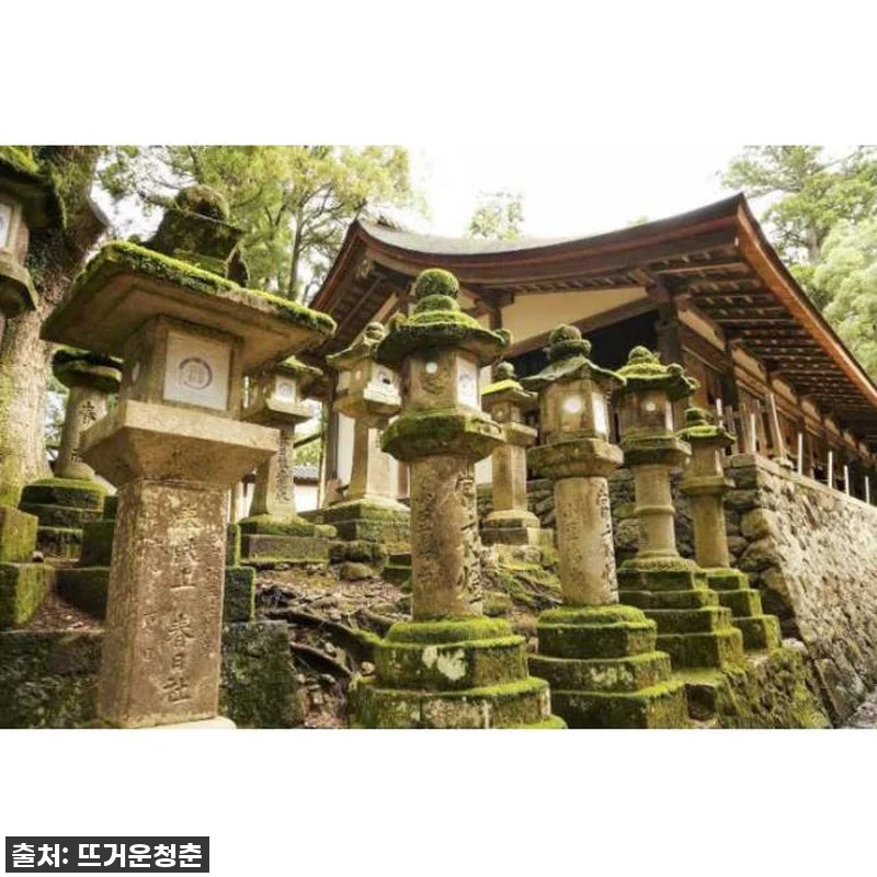 일본 현지인처럼 나라 맞춤형 가이드 관련 이미지 3