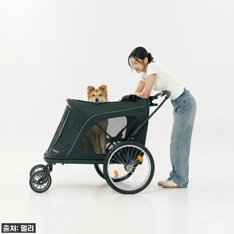 멀리 중대형견 강아지유모차 MW8 보 관련 이미지 2