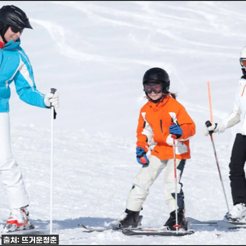 호주 멜버른 마운트 블러 스키 2박 관련 이미지 3