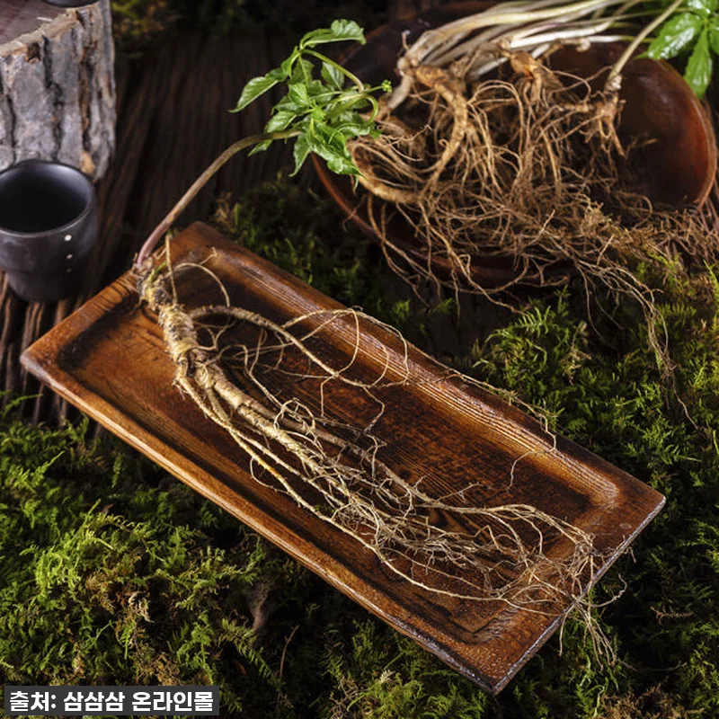 7,8년근 작은삼 산양산삼 10뿌리 관련 이미지 3