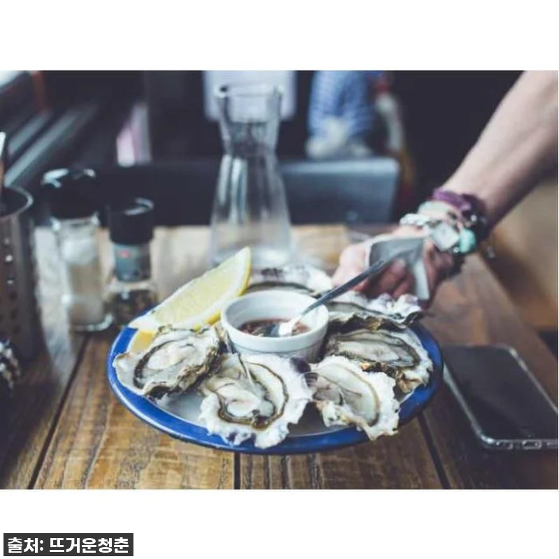 일본 히로시마 하루 종일 도시 하이라 관련 이미지 3