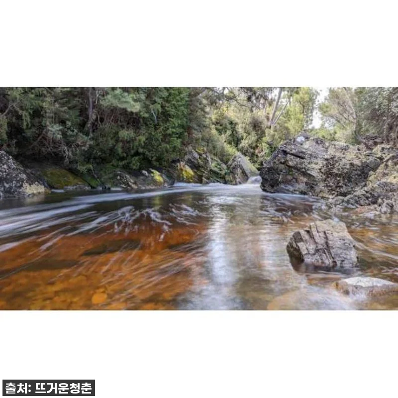 꿈을 현실로! 호주 태즈매니아 5일 관련 이미지 4