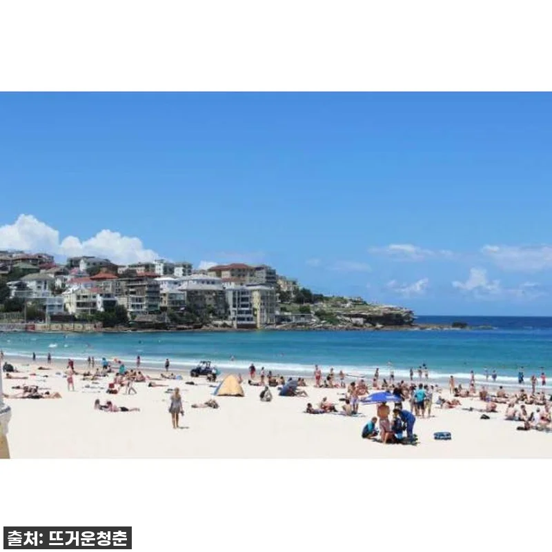 잊지 못할 시드니 여행, 현지인과 함 관련 이미지 4