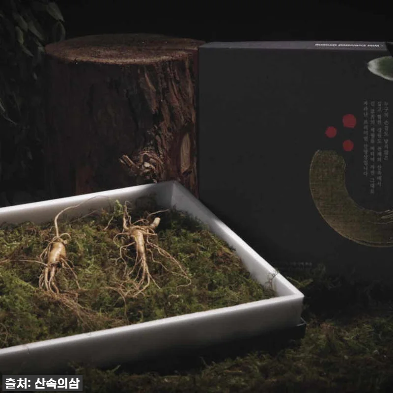 피로에 지친 나에게 주는 선물! 프리 관련 이미지 4