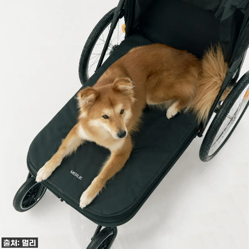 멀리 중대형견 강아지유모차 MW8 보 관련 이미지 3