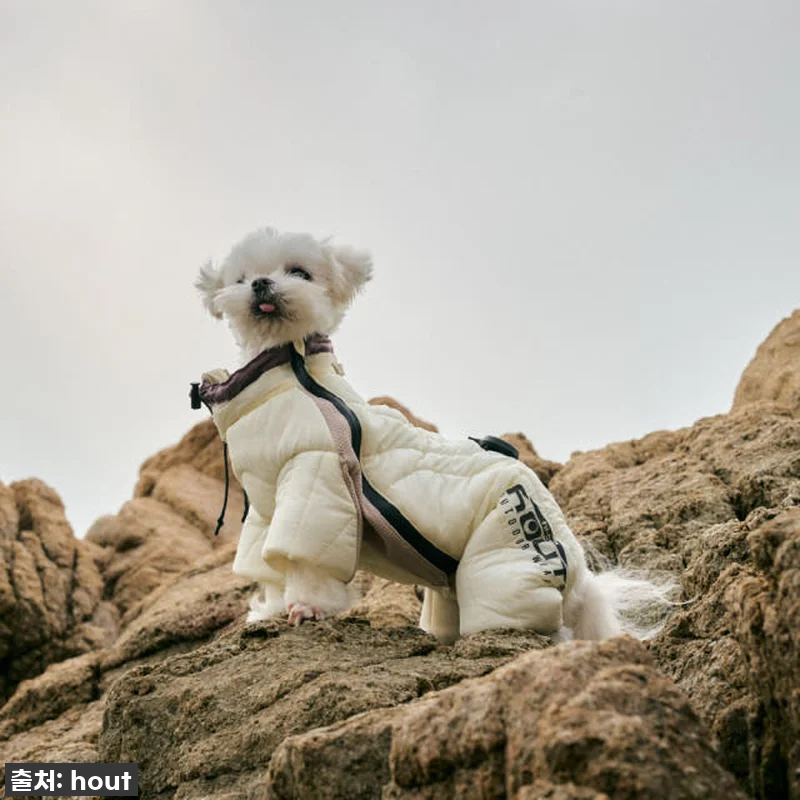 하웃 강아지 패딩 올인원 애견 겨울 관련 이미지 3